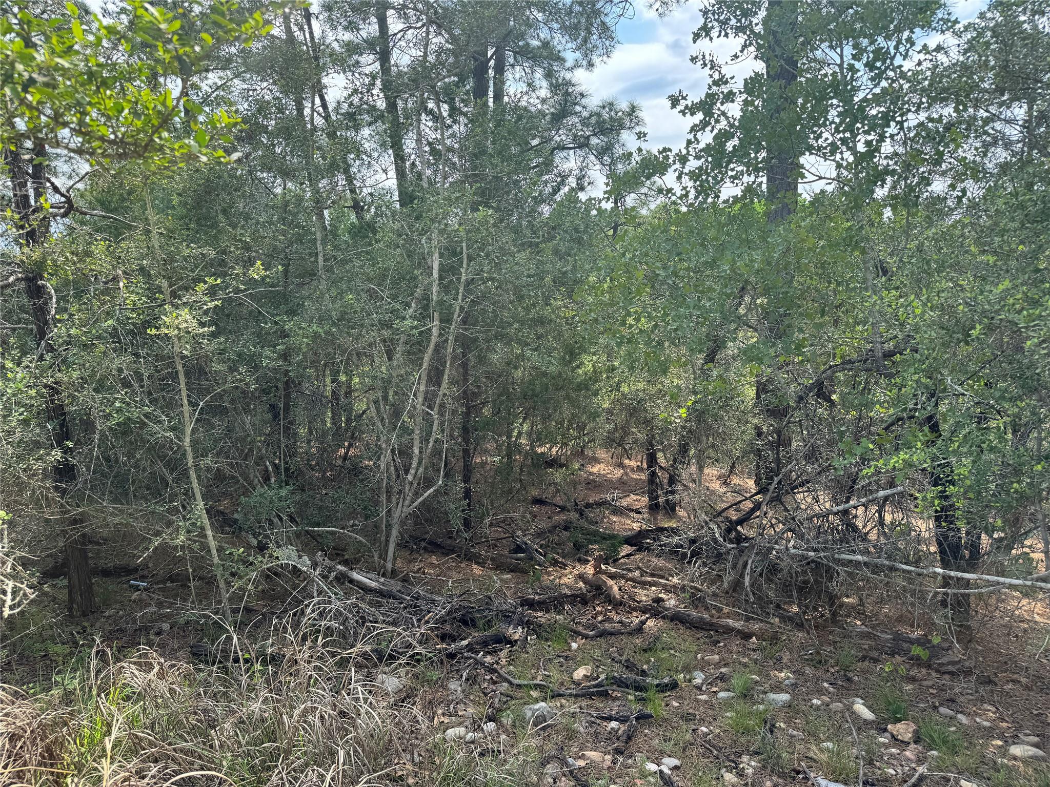 Lots 1263, 1264, 1265 Hanauma Dr, Bastrop, TX 78602