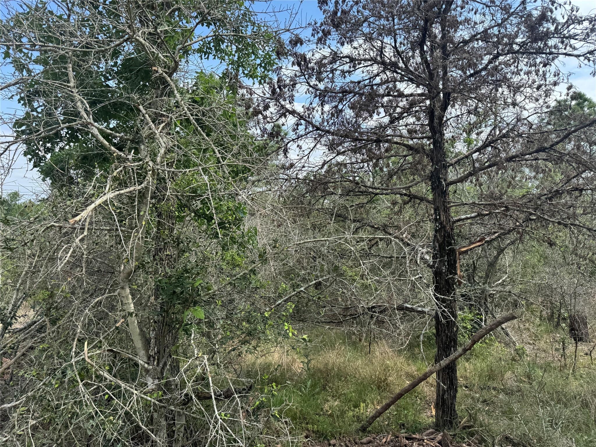 Lots 1263, 1264, 1265 Hanauma Dr, Bastrop, TX 78602