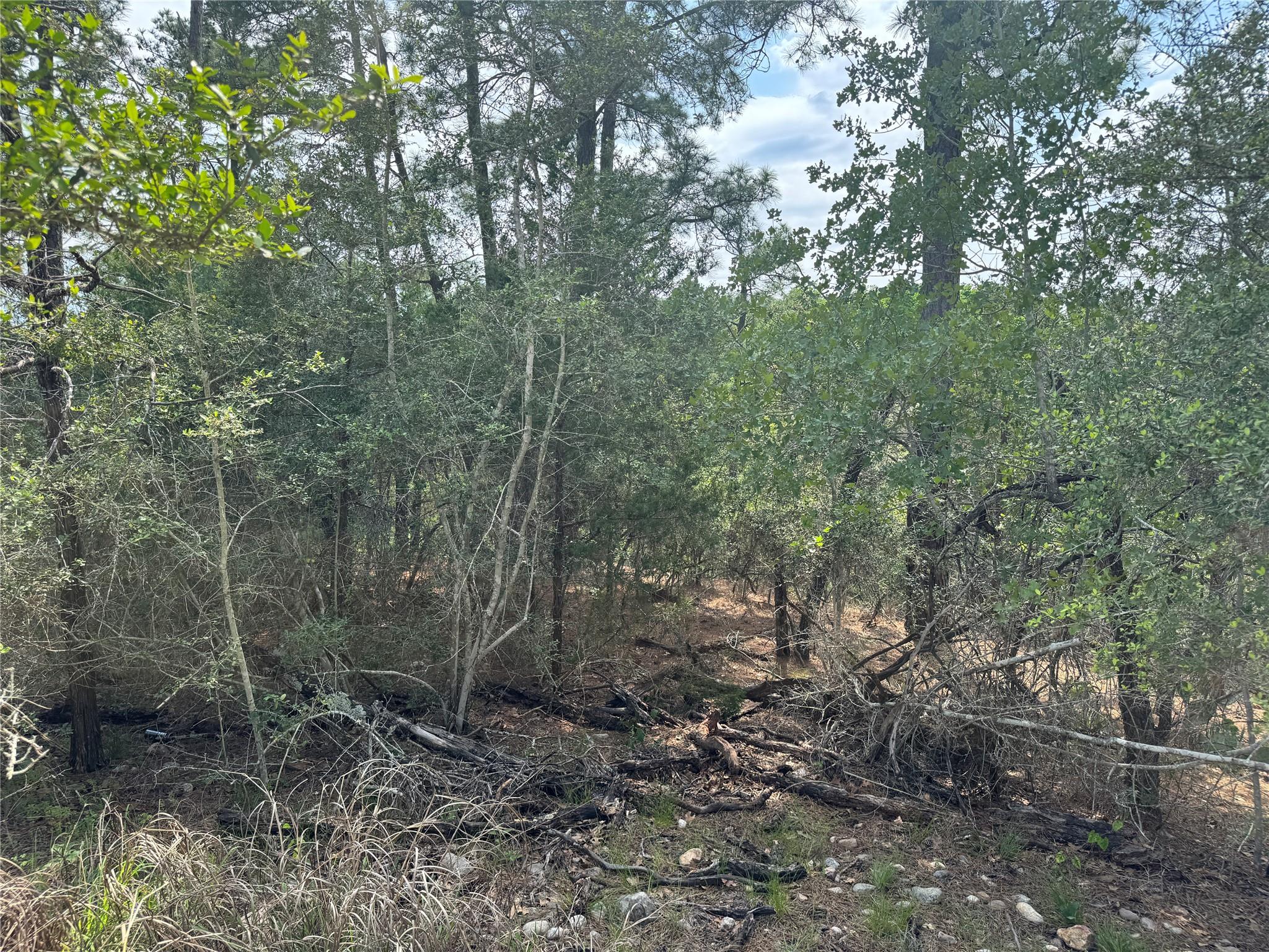 Lots 1263, 1264, 1265 Hanauma Dr, Bastrop, TX 78602