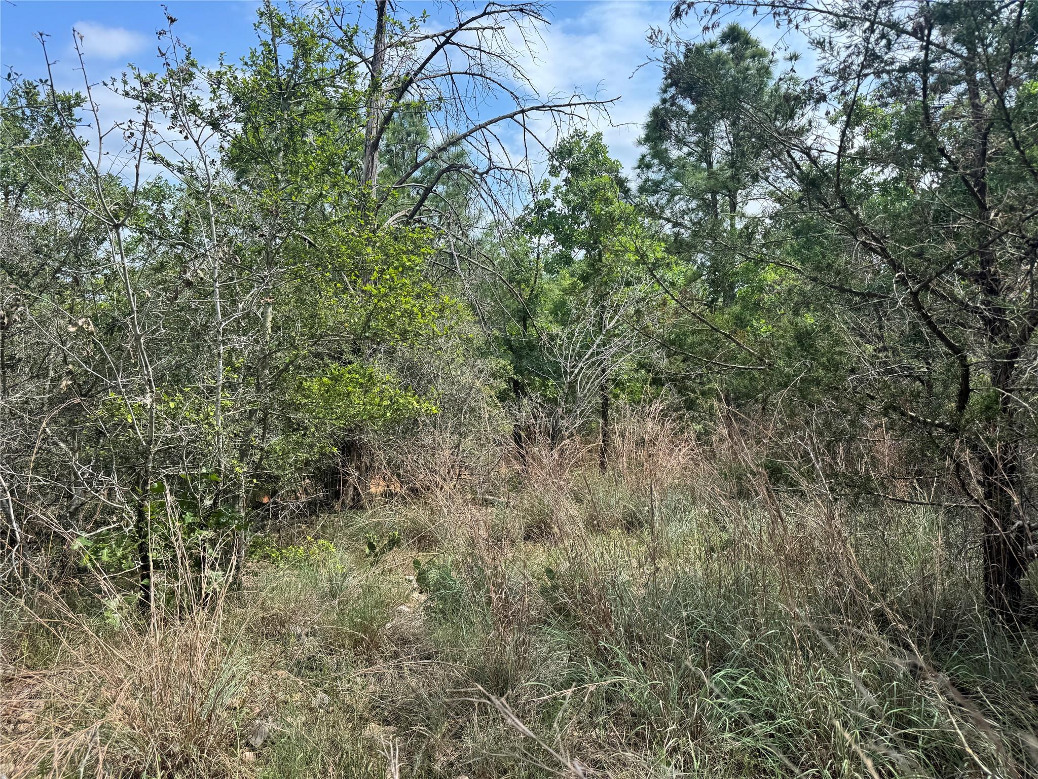 Lots 1263, 1264, 1265 Hanauma Dr, Bastrop, TX 78602