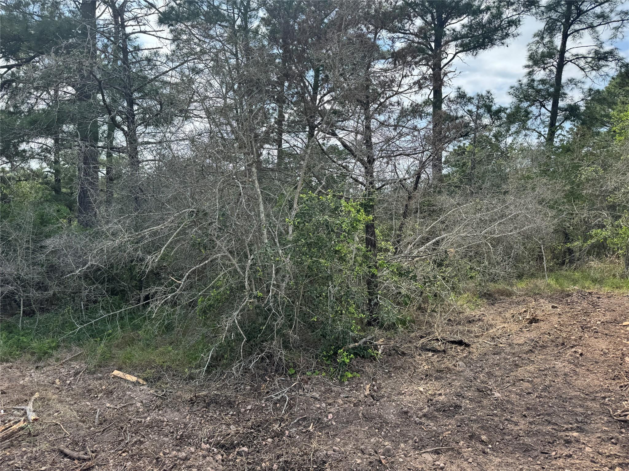 Lots 1263, 1264, 1265 Hanauma Dr, Bastrop, TX 78602