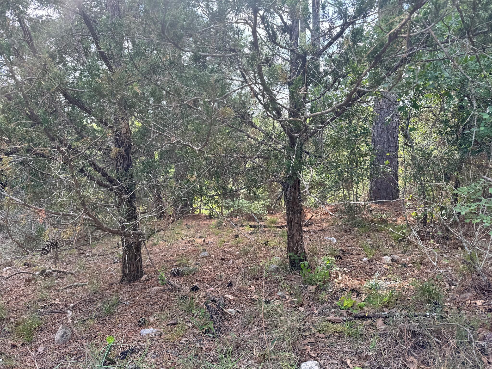 Lots 1263, 1264, 1265 Hanauma Dr, Bastrop, TX 78602