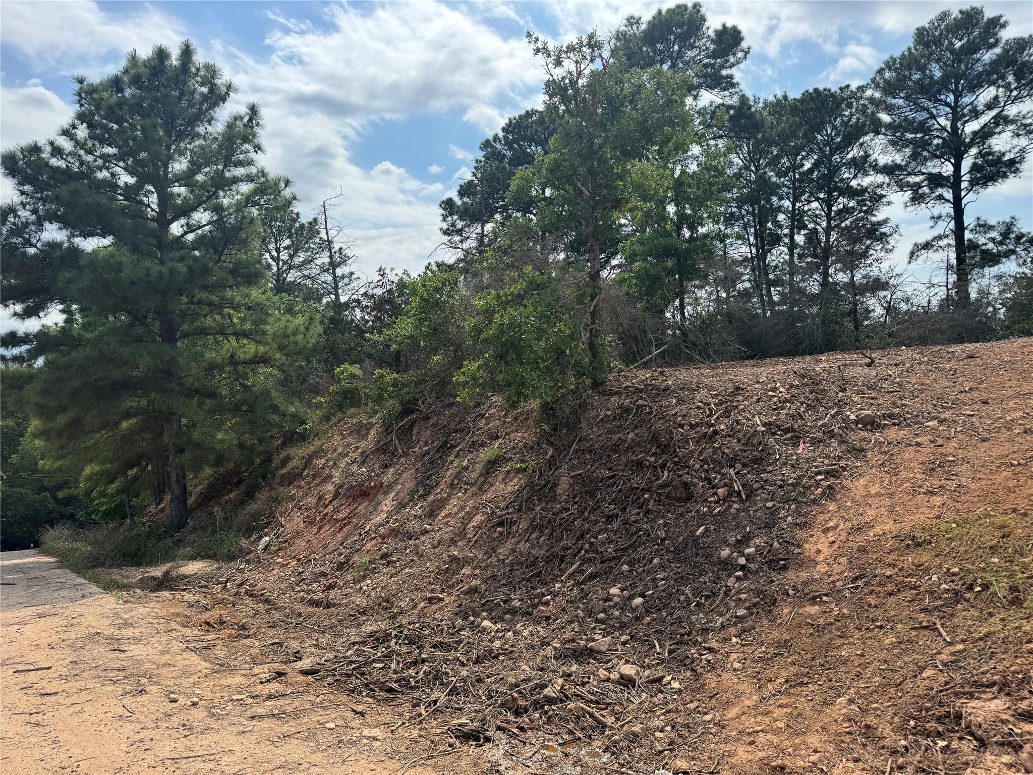 Lots 1263, 1264, 1265 Hanauma Dr, Bastrop, TX 78602