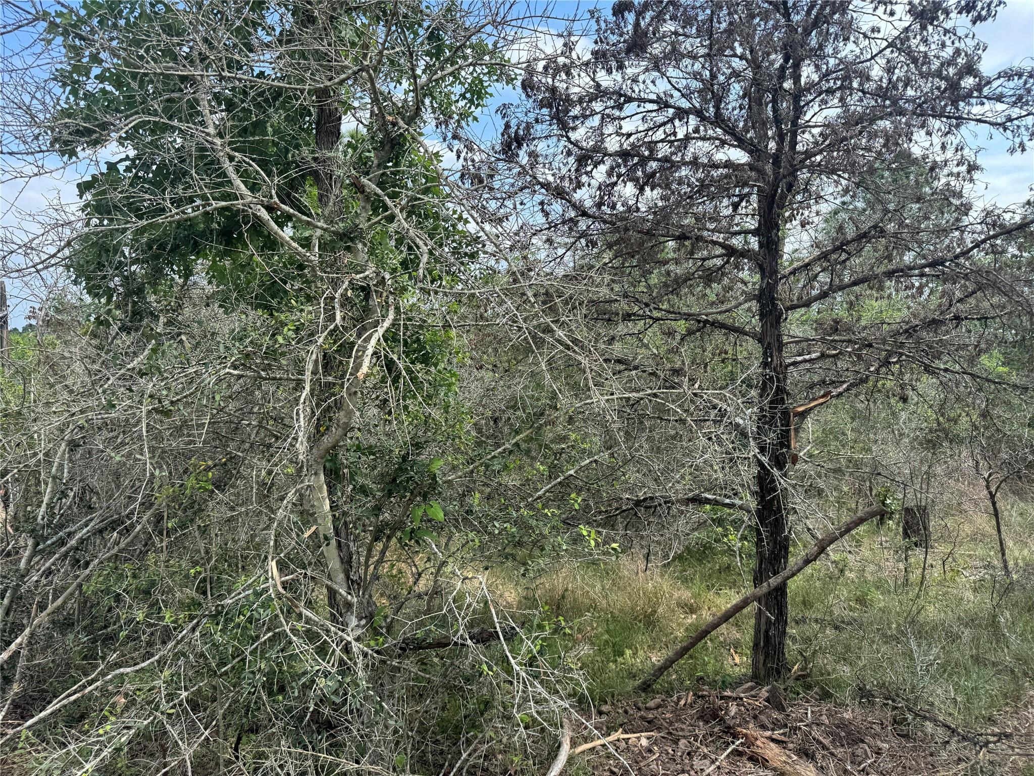 Lots 1263, 1264, 1265 Hanauma Dr, Bastrop, TX 78602