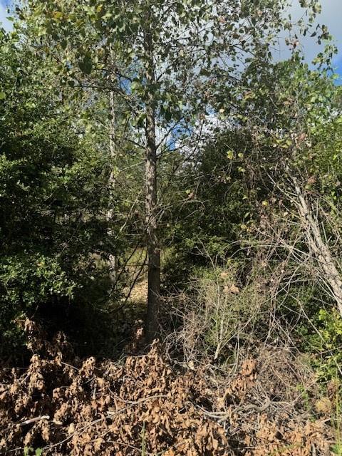 Lot 1339 Tahitian Dr, Bastrop, TX 78602