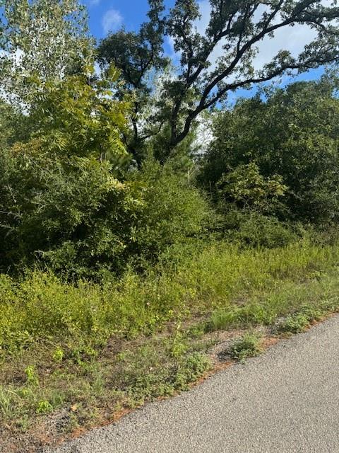 Lot 1339 Tahitian Dr, Bastrop, TX 78602