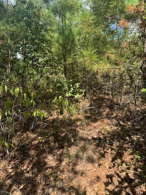 Lot 1339 Tahitian Dr, Bastrop, TX 78602