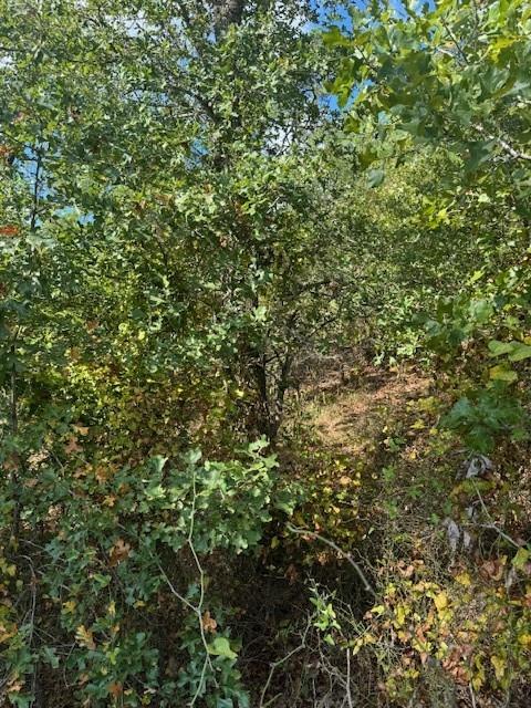 Lot 1339 Tahitian Dr, Bastrop, TX 78602