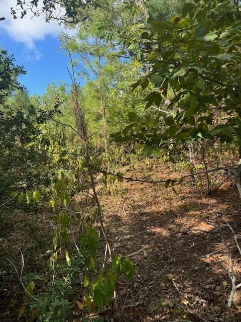 Lot 1339 Tahitian Dr, Bastrop, TX 78602