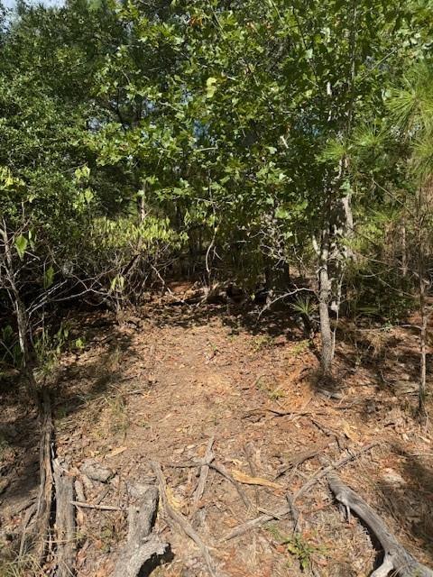 Lot 1338 Tahitian Dr, Bastrop, TX 78602