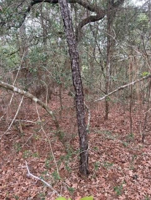 Lot 345 Wainee Dr, Bastrop, TX 78602