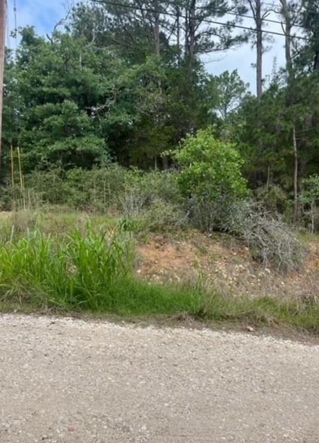Lot 345 Wainee Dr, Bastrop, TX 78602