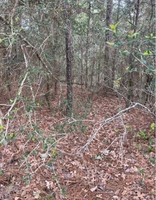 Lot 345 Wainee Dr, Bastrop, TX 78602
