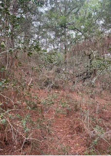 Lot 345 Wainee Dr, Bastrop, TX 78602