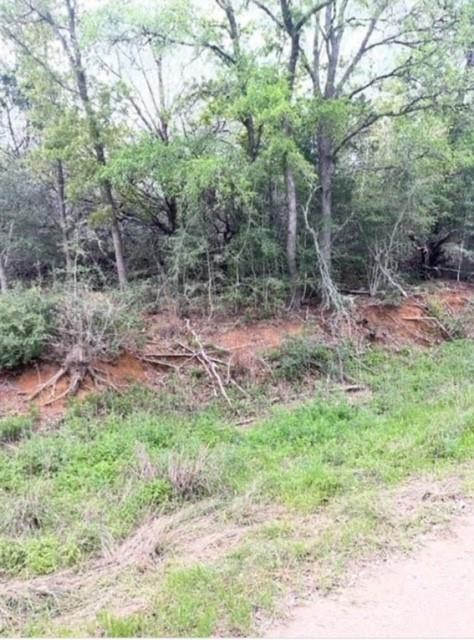 Lot 755 Bali Hai Ln, Bastrop, TX 78602
