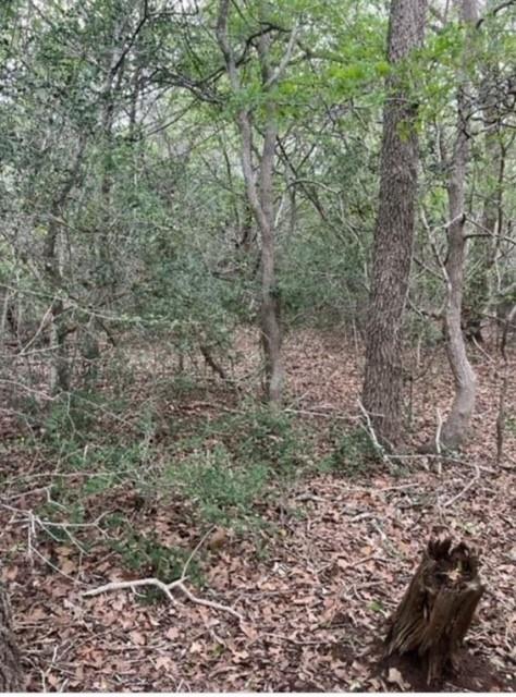 Lot 755 Bali Hai Ln, Bastrop, TX 78602