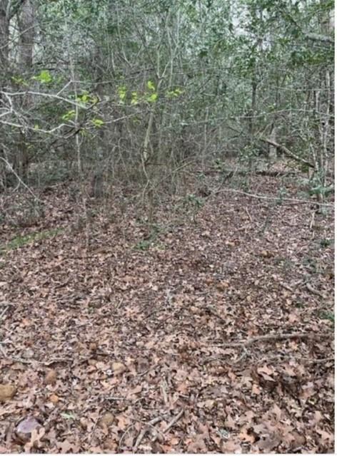 Lot 755 Bali Hai Ln, Bastrop, TX 78602