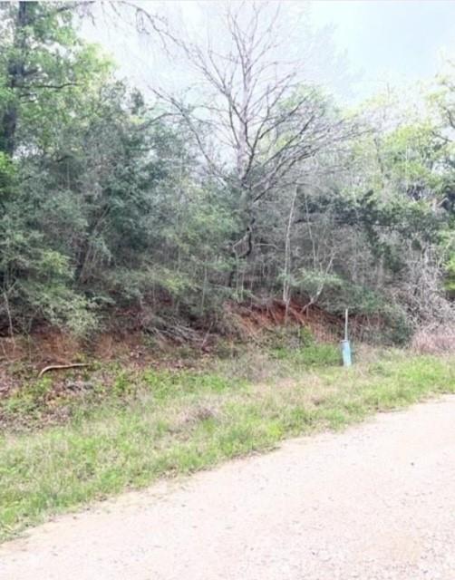 Lot 755 Bali Hai Ln, Bastrop, TX 78602