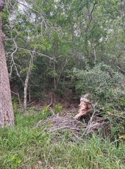 Lot 755 Bali Hai Ln, Bastrop, TX 78602