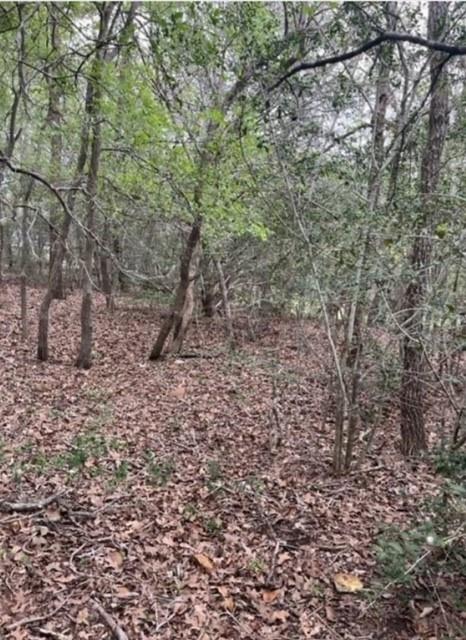 Lot 755 Bali Hai Ln, Bastrop, TX 78602