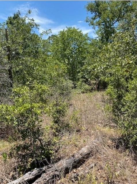 Lot 1123 Koali Dr, Bastrop, TX 78602