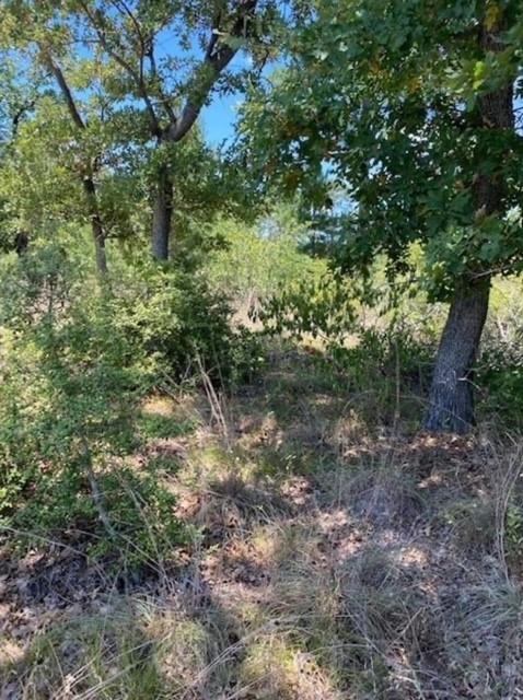 Lot 1123 Koali Dr, Bastrop, TX 78602