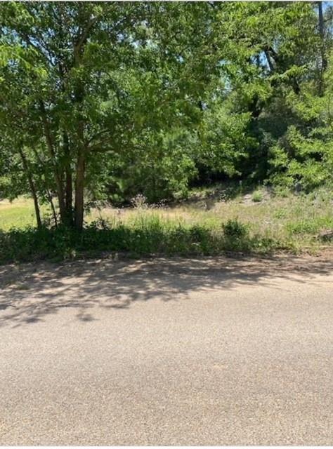 Lot 1123 Koali Dr, Bastrop, TX 78602