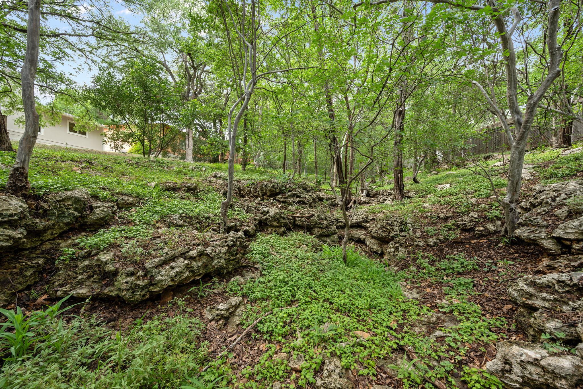 12223 Forsythe Dr, Austin, TX 78759