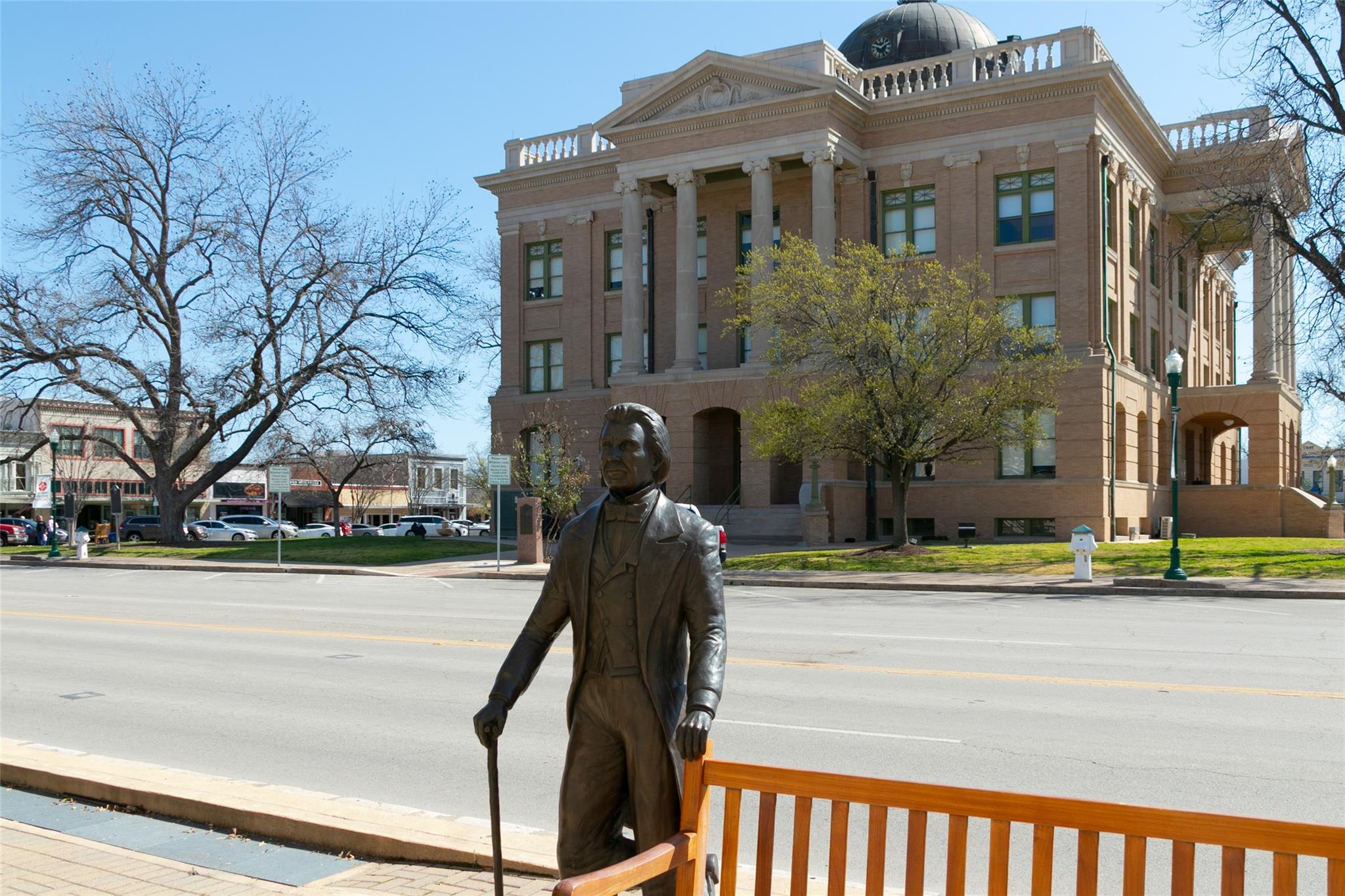 1409 White Daisy Ln, Georgetown, TX 78628