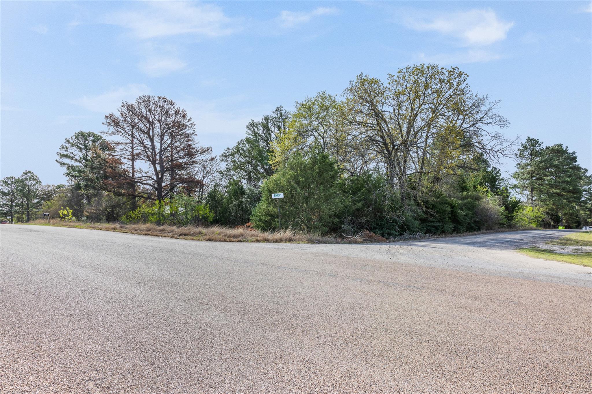 LOT 1 Indian Oak Dr, Bastrop, TX 78602