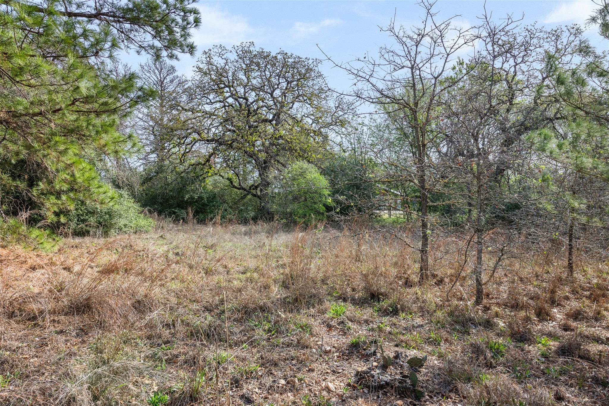 LOT 1 Indian Oak Dr, Bastrop, TX 78602
