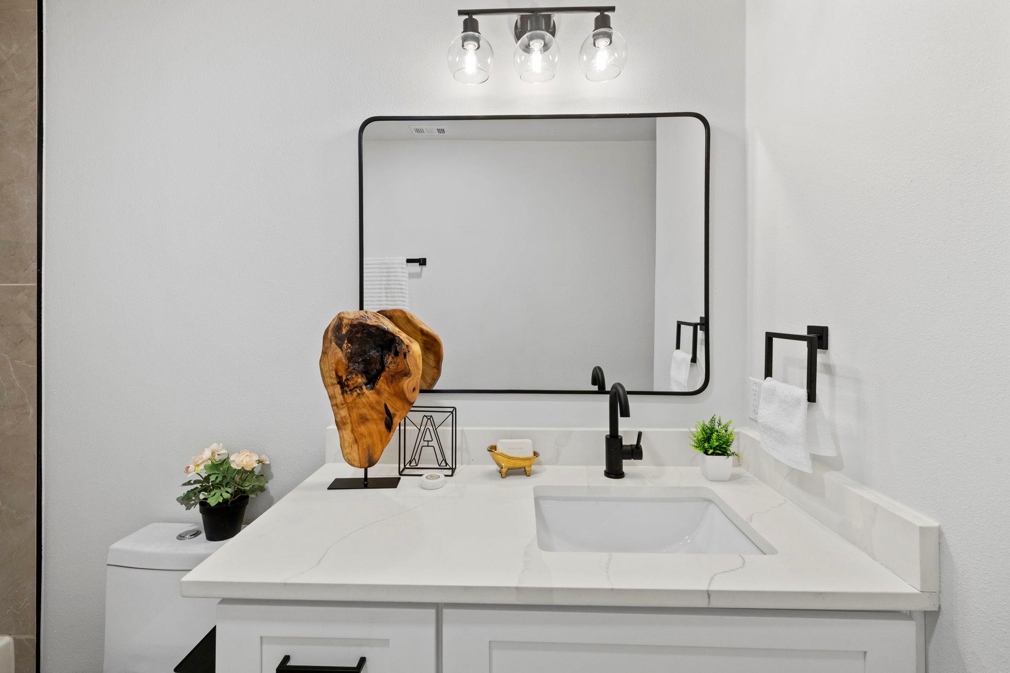 3722 Blue Cat Way, Round Rock, TX 78665