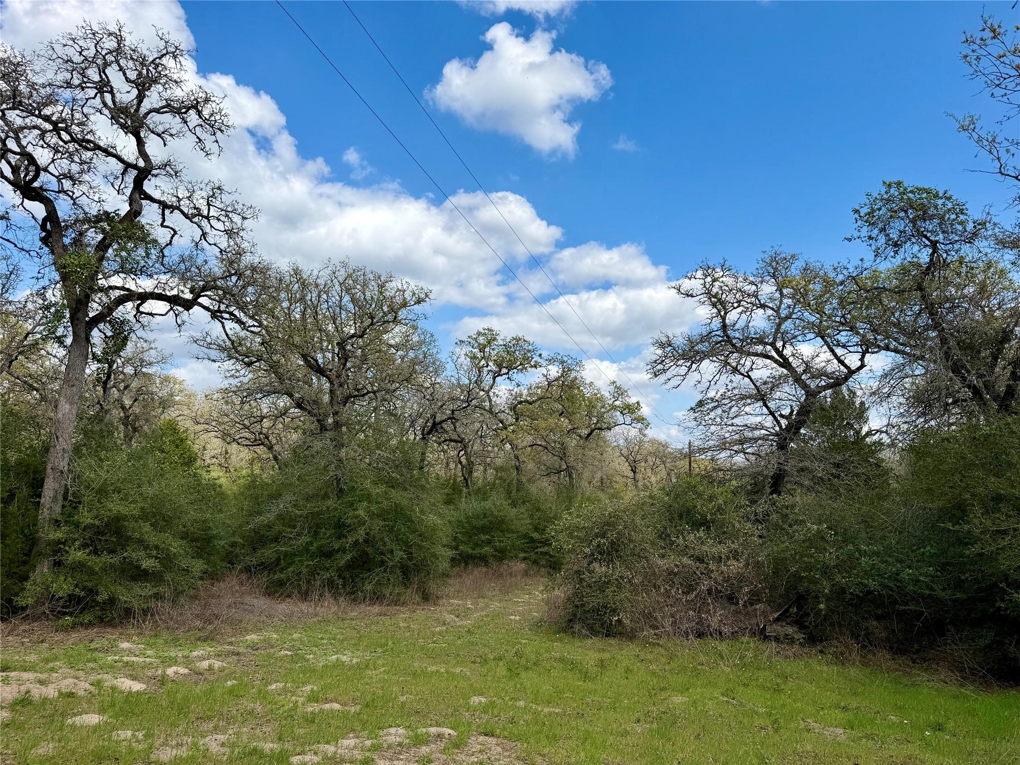 3950 Private Road 2015, Caldwell, TX 77836