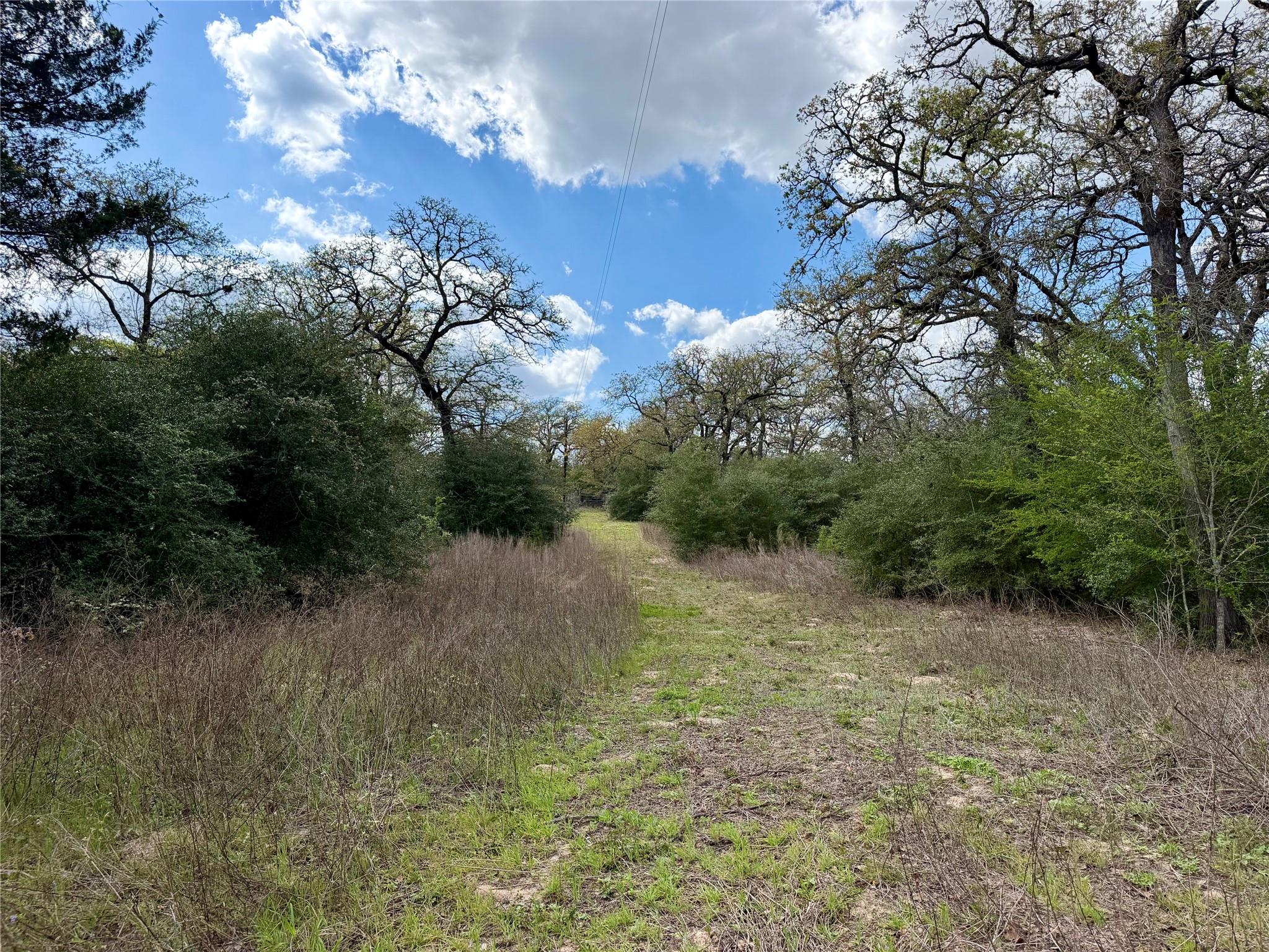 3950 Private Road 2015, Caldwell, TX 77836