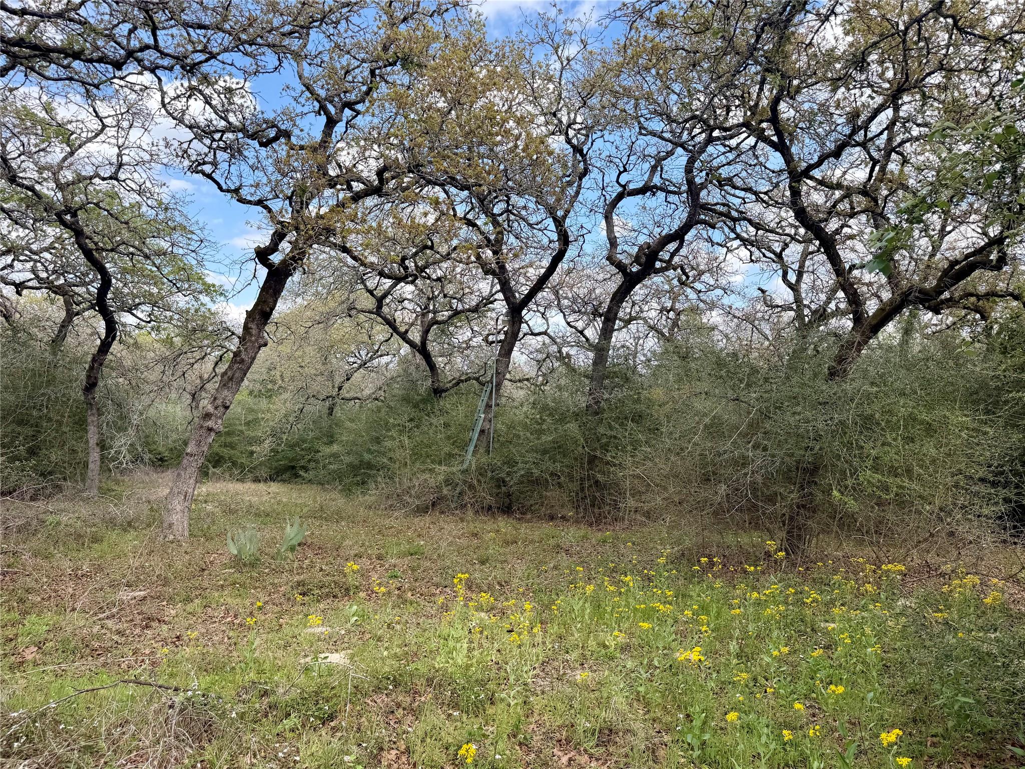 3950 Private Road 2015, Caldwell, TX 77836