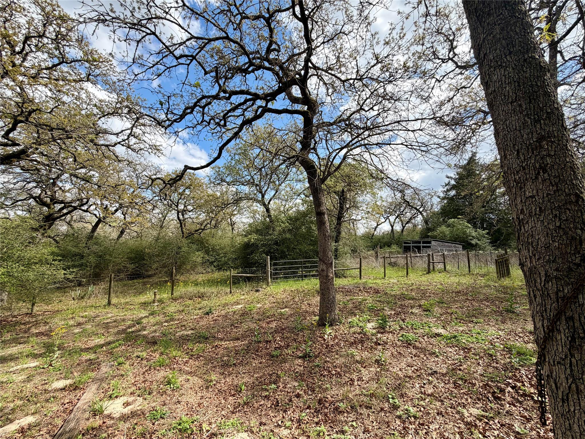 3950 Private Road 2015, Caldwell, TX 77836