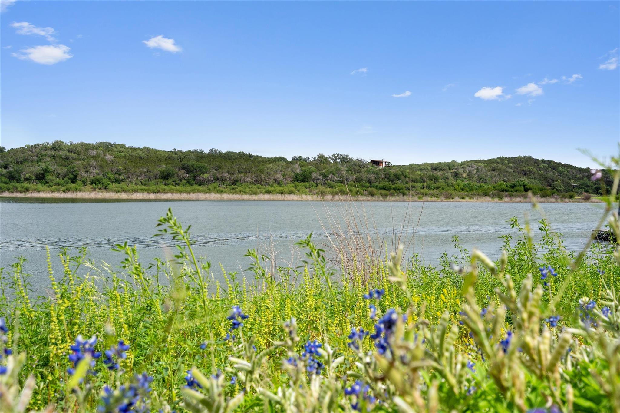 117 Lake View Dr, Spicewood, TX 78669