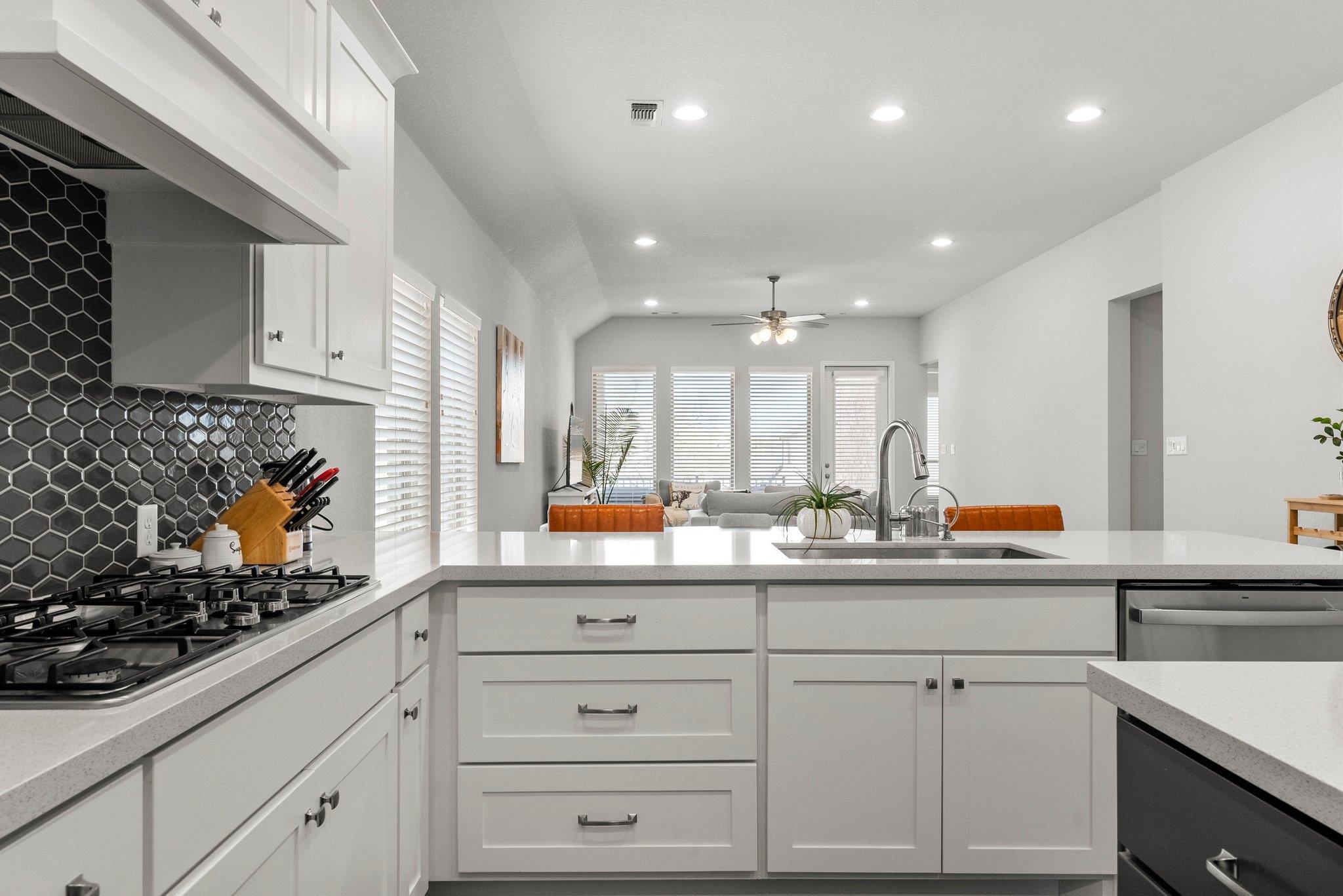 204 Bluff Creek Ln, Georgetown, TX 78628