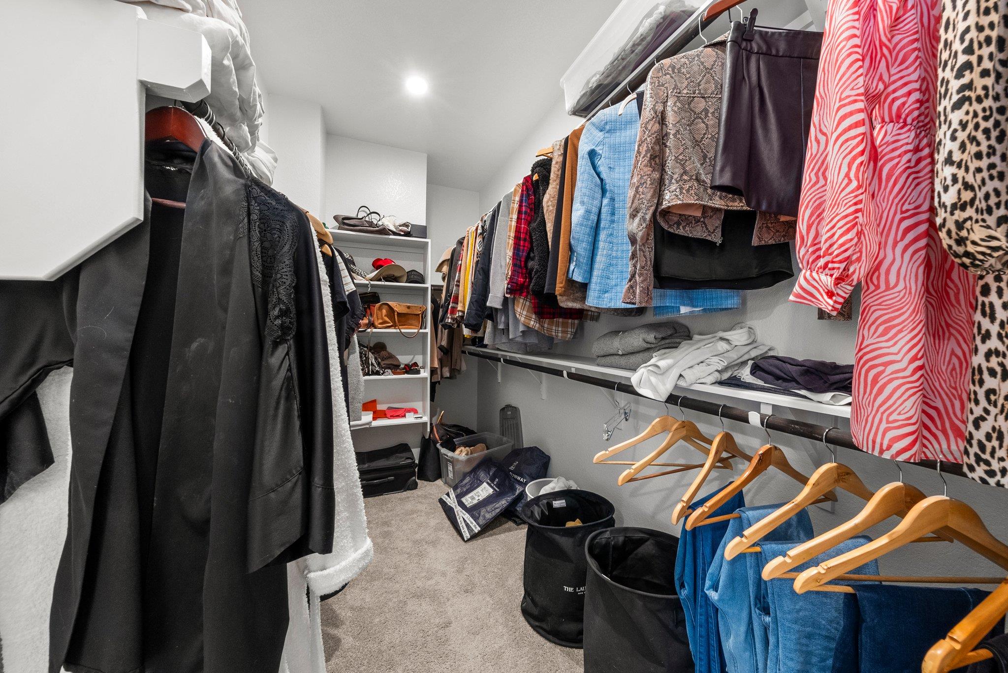 204 Bluff Creek Ln, Georgetown, TX 78628