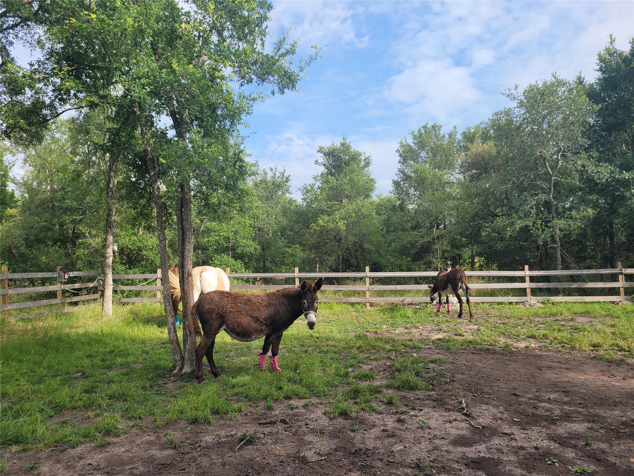 9426 Bock Rd, Buda, TX 78610