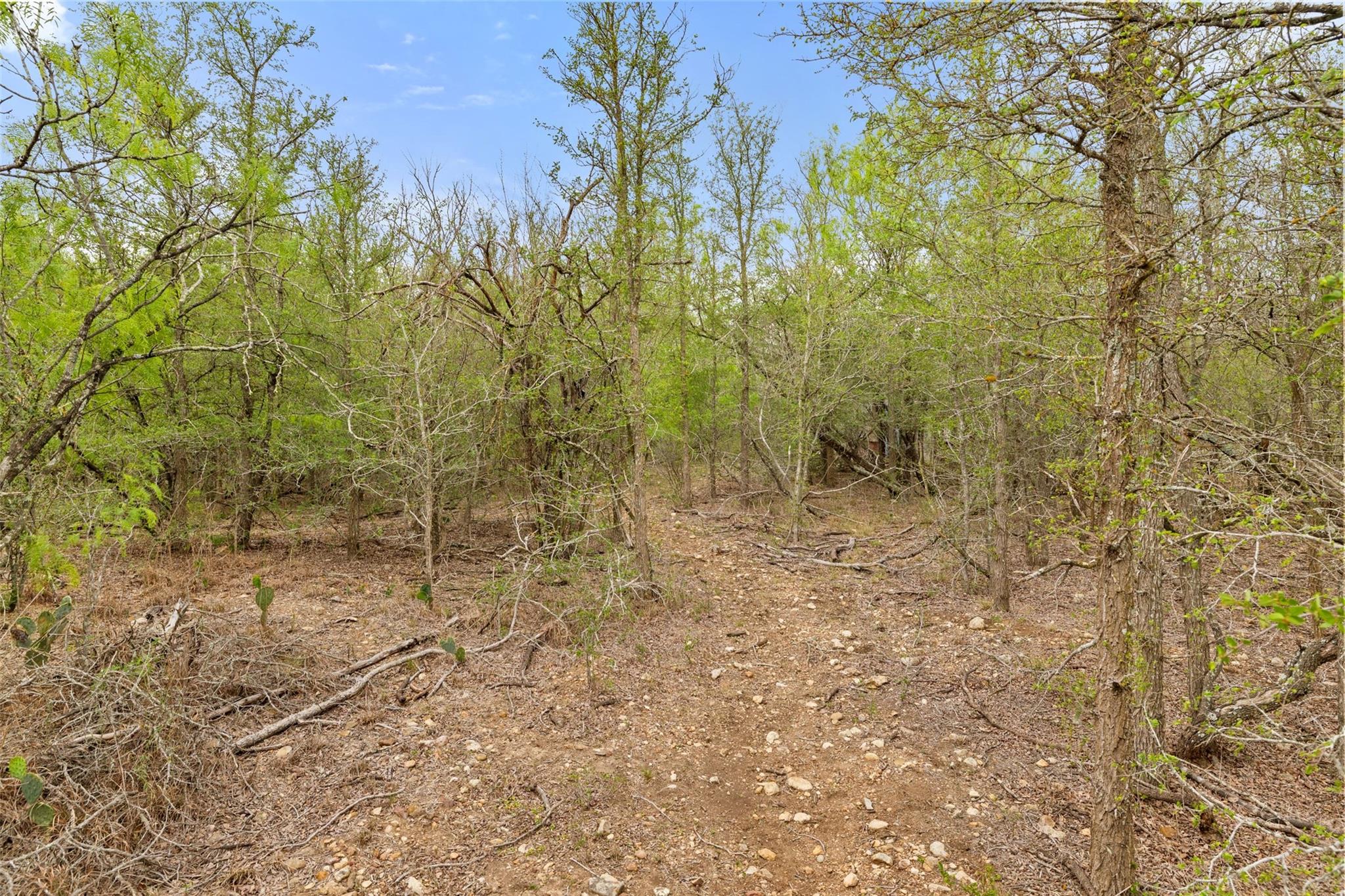 9426 Bock Rd, Buda, TX 78610