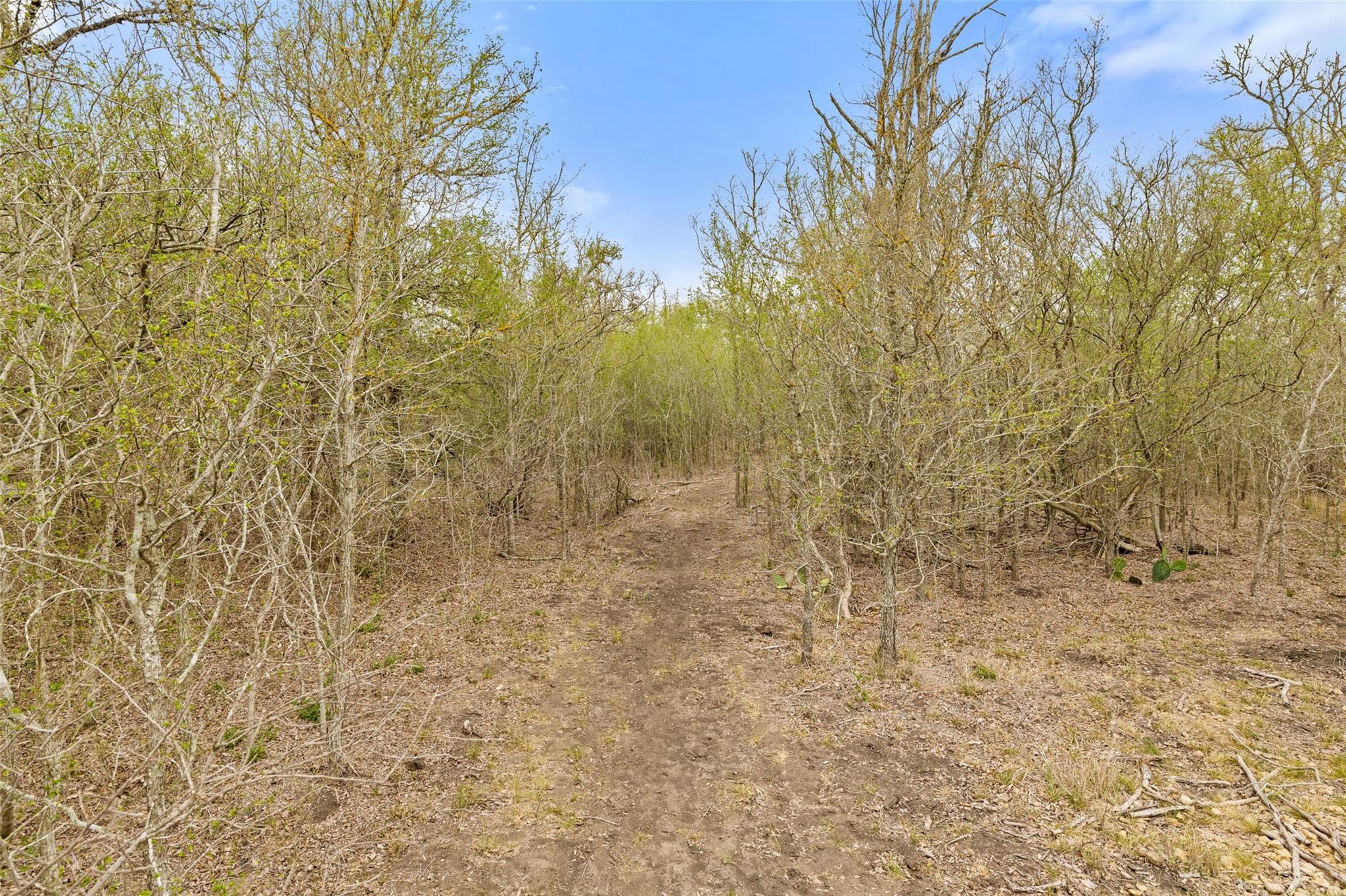 9426 Bock Rd, Buda, TX 78610