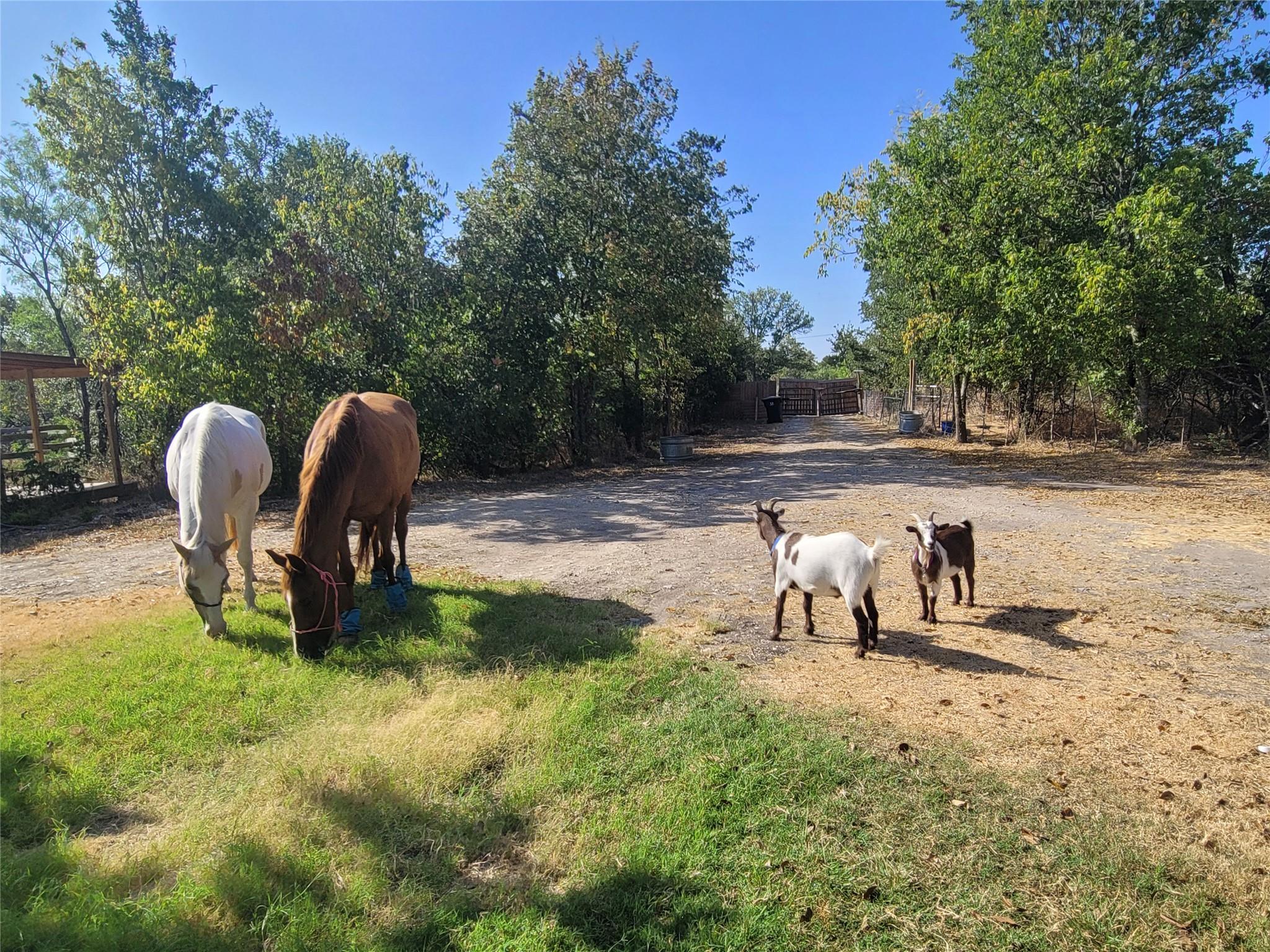 9426 Bock Rd, Buda, TX 78610