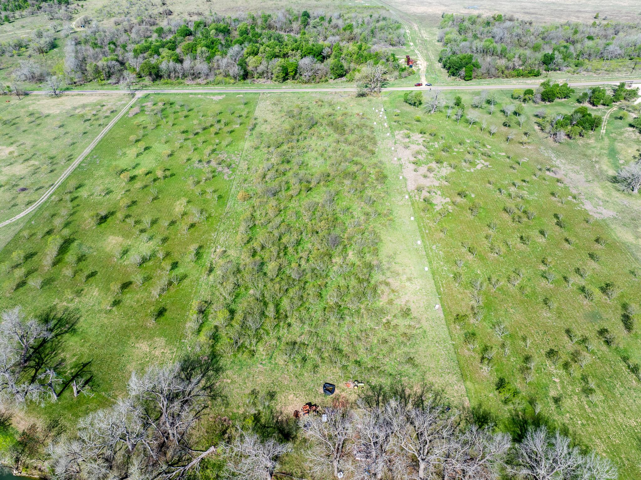 2041 County Road 429, Rockdale, TX 76567