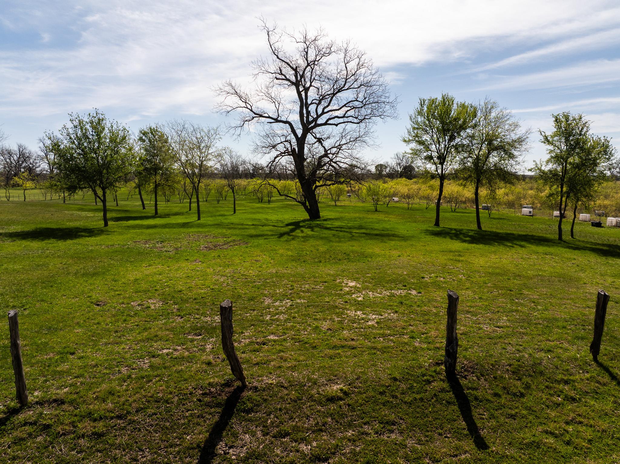 2041 County Road 429, Rockdale, TX 76567