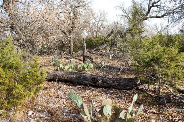 TBD Lot 7 Whitetail Trl, San Saba, TX 76877
