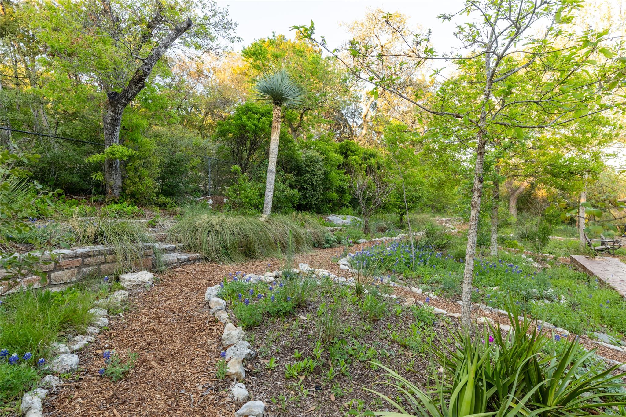 915 Wild Basin Ledge, Austin, TX 78746