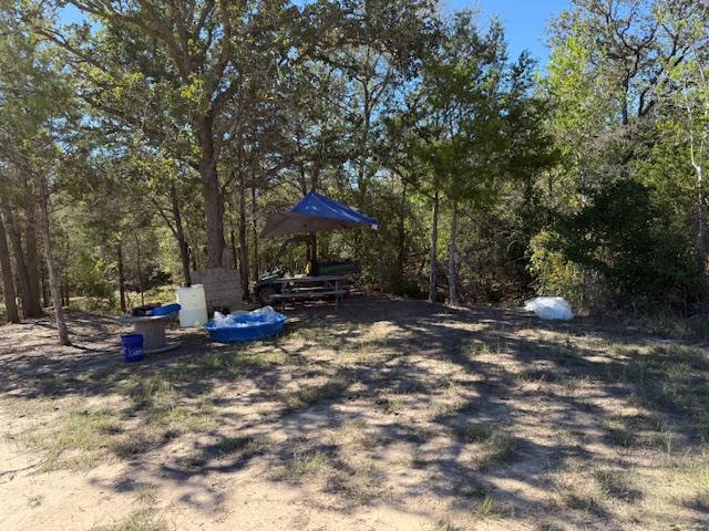 3.9 Acres Synergy Dr, Bastrop, TX 78602