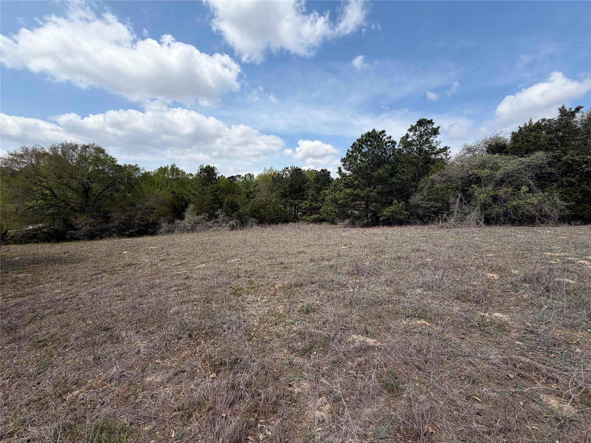 118 Edmonson Ranch Rd, McDade, TX 78650