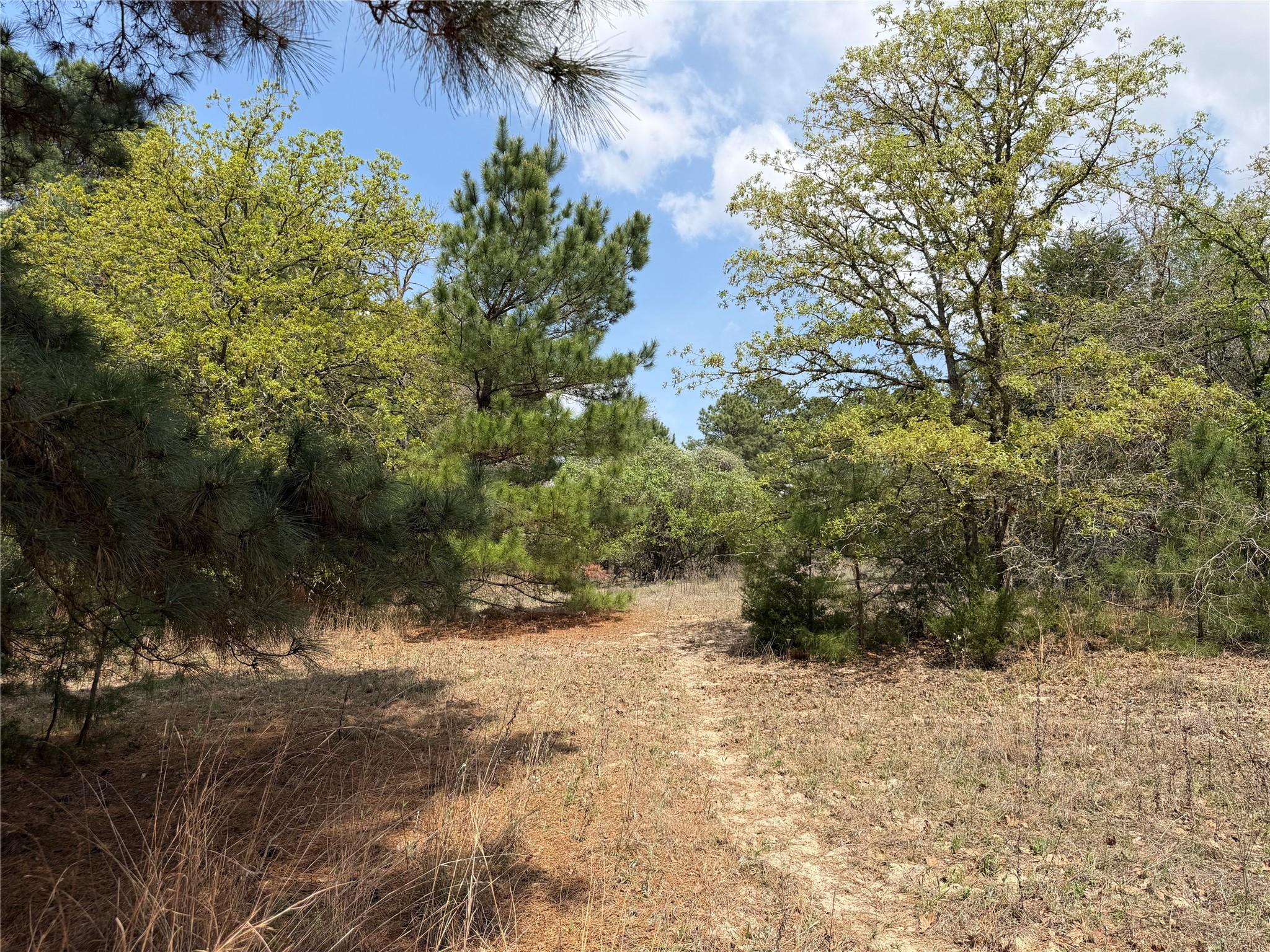 118 Edmonson Ranch Rd, McDade, TX 78650